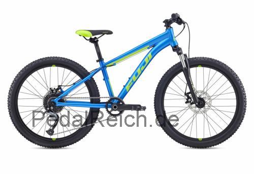 Fuji Dynamite 24 Pro Disc  technische daten 